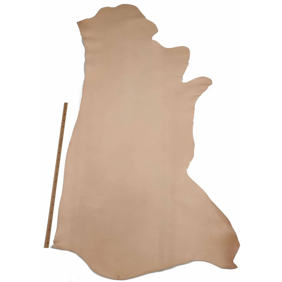 Bande - Naturel - Tannage Végétal - CRUST - Épaisseur ±1,4 Mm 5 Bande - Naturel - Tannage Végétal - CRUST - Épaisseur ±1,4 Mm – Image 3