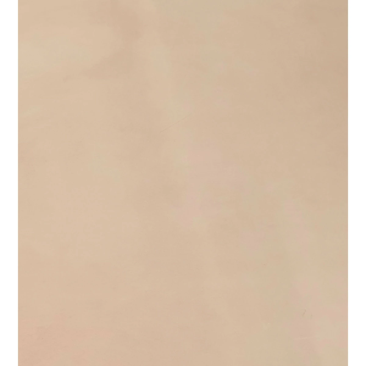 Bande - Naturel - Tannage Végétal - CRUST - Épaisseur ±1,4 Mm 3 Bande - Naturel - Tannage Végétal - CRUST - Épaisseur ±1,4 Mm