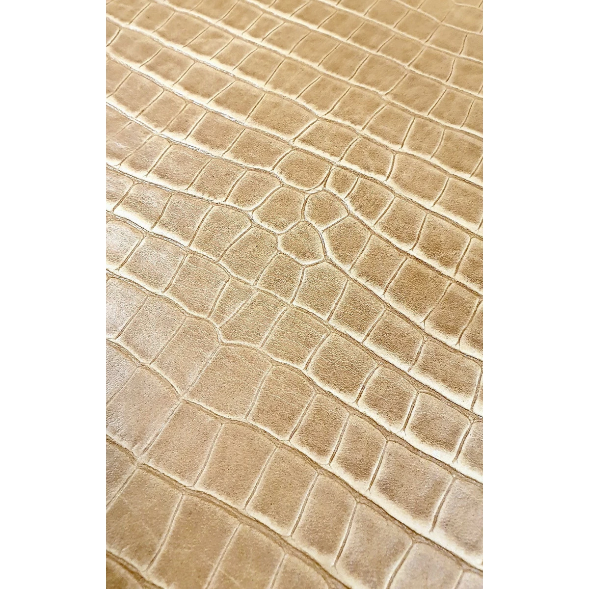 Collet CROCODILE - TOSCANA - Tannage Végétal - Naturel - Épaisseur ± 2mm 3 Collet CROCODILE - TOSCANA - Tannage Végétal - Naturel - Épaisseur ± 2mm