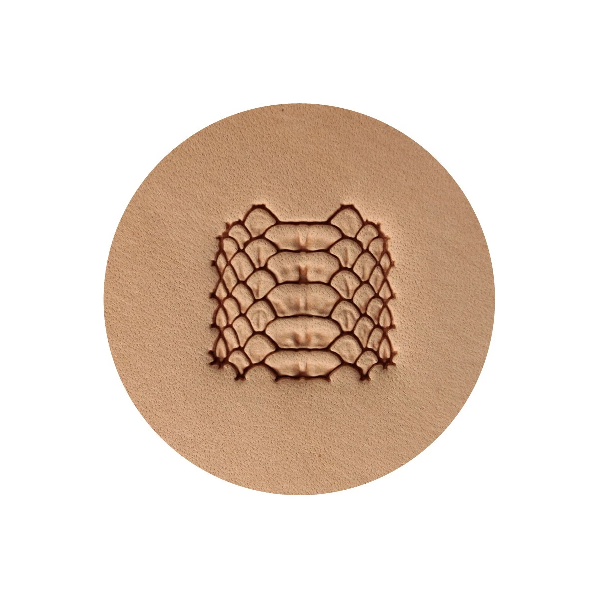 S.N. 395 - PEAU De PYTHON - Matoir à Frapper 4 S.N. 395 - PEAU De PYTHON - Matoir à Frapper – Image 2