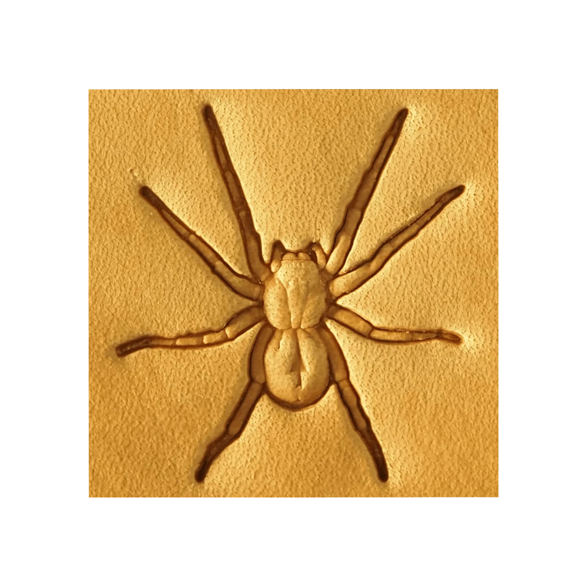 S.N. 535 - Araignée - Matoir à Frapper 3 S.N. 535 - Araignée - Matoir à Frapper